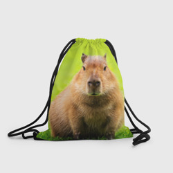 Рюкзак-мешок 3D Capybara on green grass 