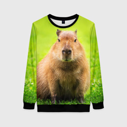 Женский свитшот 3D Capybara on green grass 