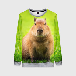 Женский свитшот 3D Capybara on green grass 