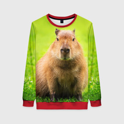 Женский свитшот 3D Capybara on green grass 