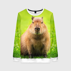 Женский свитшот 3D Capybara on green grass 