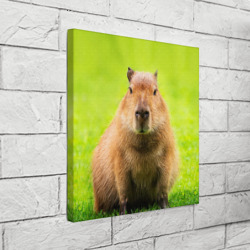 Холст квадратный Capybara on green grass  - фото 2