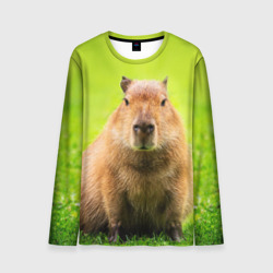 Мужской лонгслив 3D Capybara on green grass 