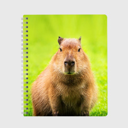 Тетрадь Capybara on green grass 