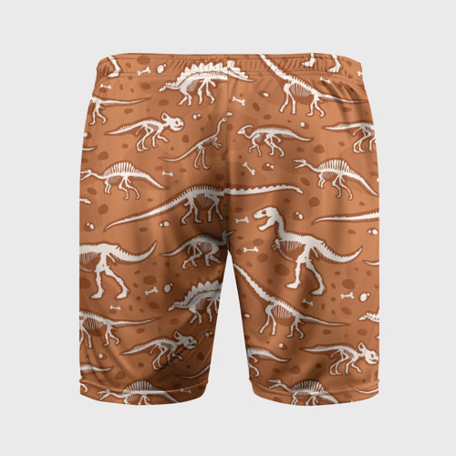 Мужские шорты спортивные с принтом Скелеты динозавров, вид сзади #1