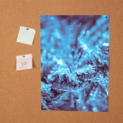Постер Морозные узоры на окне макро - фото 2
