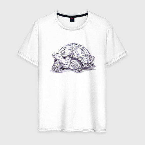 Мужская футболка из хлопка с принтом Черепаха любопытная, вид спереди №1