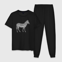 Мужская пижама хлопок Гравюра зебра в профиль