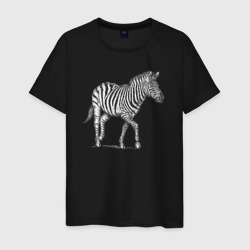 Гравюра зебра скачет – Мужская футболка хлопок с принтом купить со скидкой в -20%