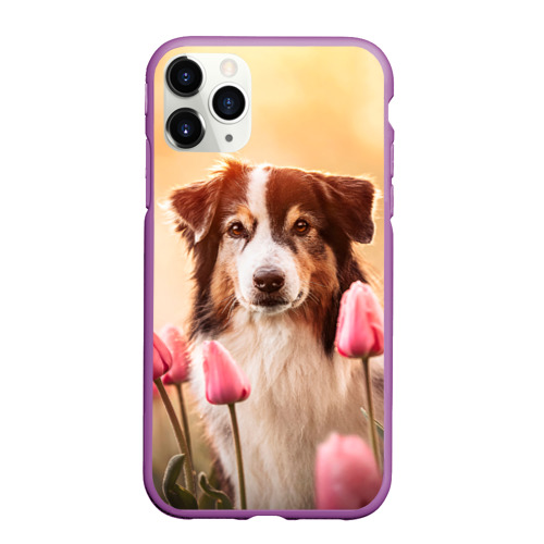 Чехол для iPhone 11 Pro Max матовый Аусси в тюльпанах, цвет фиолетовый