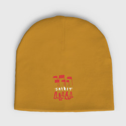 Мужская шапка демисезонная Depeche Mode - Spirit tour merch
