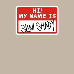 Мужской свитшот хлопок Hi my name is  Slim Shady - фото 2