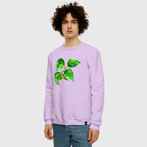 Мужской свитшот хлопок Ветка березы с зелеными листьями, цвет лаванда - фото 3