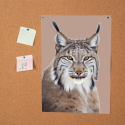 Постер Рысь лесная хищница - фото 2