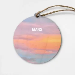 Деревянная игрушка круг Thirty Seconds to Mars Seasons