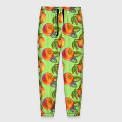 Мужские брюки 3D Апельсинки с листьями