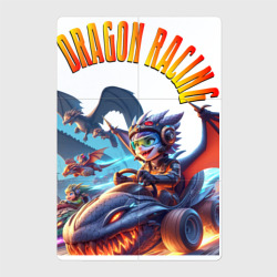Магнитный плакат 2Х3 Автогонки молодых дракончиков