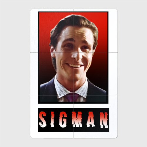 Магнитный плакат 2Х3 Sigman