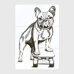 Магнитный плакат 2Х3 Французский бульдог на скейте 