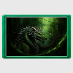 Магнит 45*70 Зеленый  дракон символ 2024