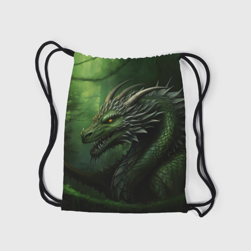 Рюкзак-мешок 3D Зеленый  дракон символ 2024 - фото 7