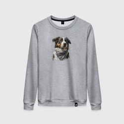 Женский свитшот хлопок Австралийская овчарка с шейным платком