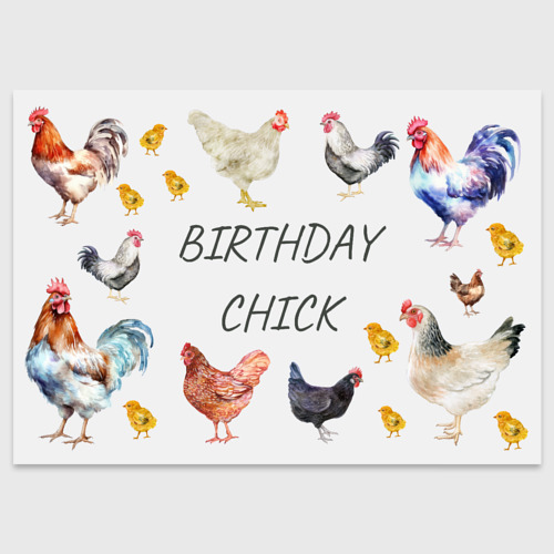Поздравительная открытка С днем рождения от куриц, цвет белый