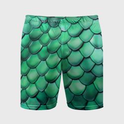 Мужские шорты спортивные Шкура зеленого дракона