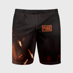 Мужские шорты спортивные PUBG fire war
