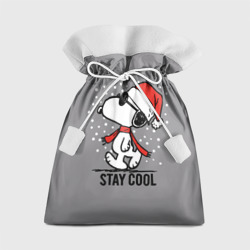 Подарочный 3D мешок Stay cool Snoopy