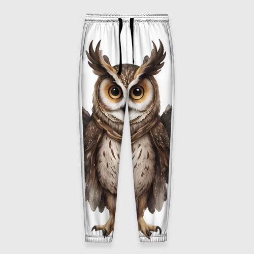 Мужские брюки 3D с принтом Совушка с крыльями, вид спереди #2