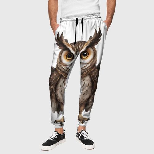 Мужские брюки 3D с принтом Совушка с крыльями, вид сбоку #3