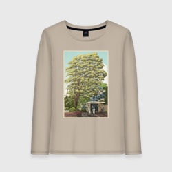 Женский лонгслив хлопок Хаяо Миядзаки - studio ghibli