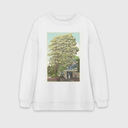 Женский свитшот oversize без начеса хлопок Хаяо Миядзаки - studio ghibli 