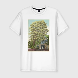 Мужская футболка хлопок Slim Хаяо Миядзаки - studio ghibli 