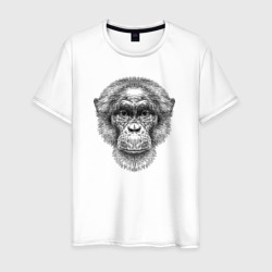 Шимпанзе голова – Мужская футболка хлопок с принтом купить со скидкой в -20%