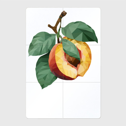 Магнитный плакат 2Х3 Персик с листьями