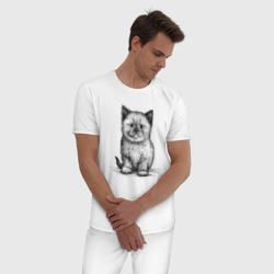 Мужская пижама хлопок Сиамский котенок сидит - фото 2