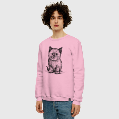 Мужской свитшот хлопок с принтом Сиамский котенок сидит, фото на моделе #1
