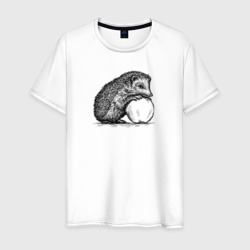 Ежик и яблоко – Мужская футболка хлопок с принтом купить со скидкой в -20%