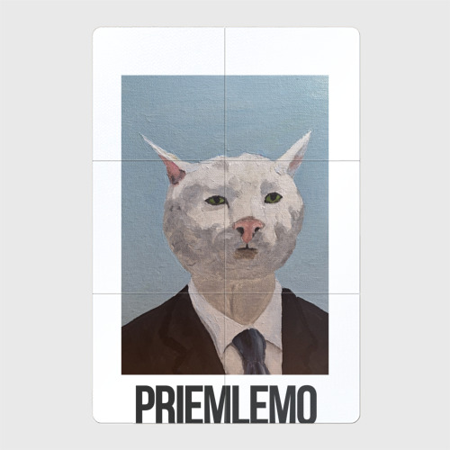 Приемлемо мем кот
