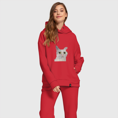 Женский костюм хлопок Oversize с принтом Pixel cat, фото на моделе #1