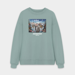 Мужской свитшот oversize без начеса хлопок Кибердеревня с новым годом