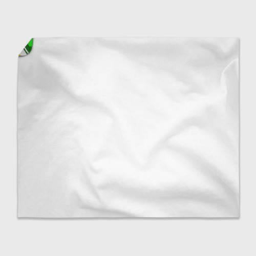 Плед 3D Зеленоградский флаг, цвет 3D (велсофт) - фото 4