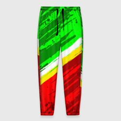 Мужские брюки 3D Расцветка Зеленоградского флага