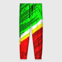 Женские брюки 3D Расцветка Зеленоградского флага