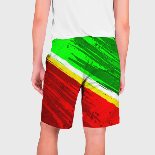 Мужские шорты 3D Расцветка Зеленоградского флага, цвет 3D печать - фото 2