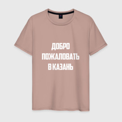 Добро пожаловать в Казань белая – Мужская футболка хлопок с принтом купить со скидкой в -20%