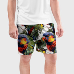 Мужские шорты спортивные Яркие попугаи - фото 2