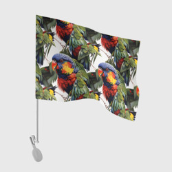 Флаг для автомобиля Яркие попугаи